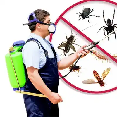 pest control Lake Katrine